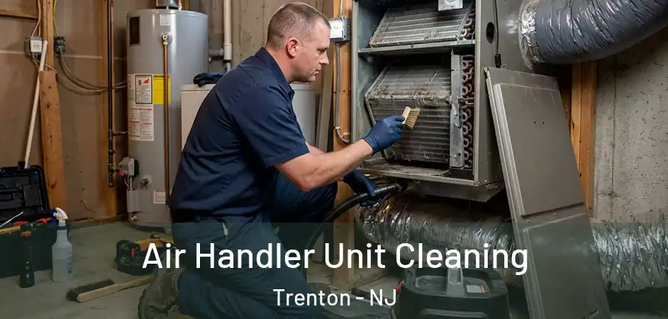 Air Handler Unit Cleaning Trenton - NJ